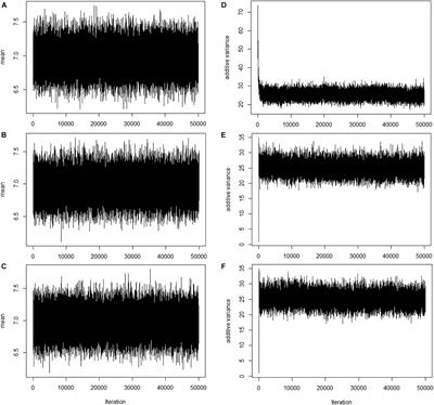 Genomic Prediction Using Bayesian Regression Models With Global–Local Prior